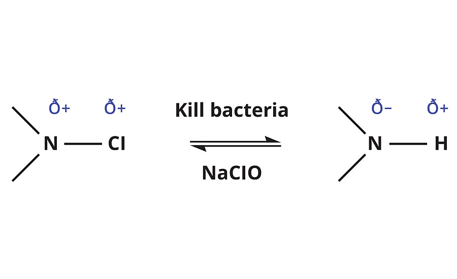 反应计划与细菌和次氯酸钠N-halamine交互