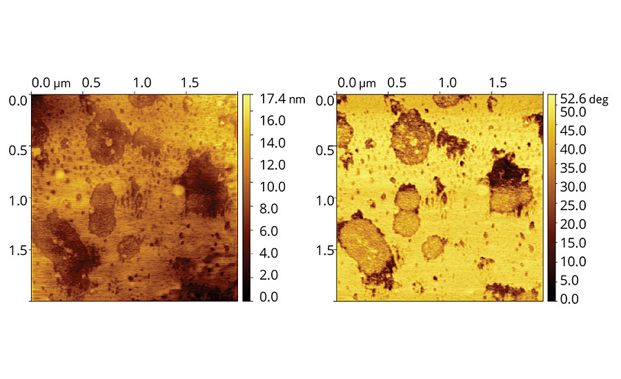 含有8 php Coalescent D的乙烯-丙烯酸乳胶膜的地形(左)和相位(右)图像。