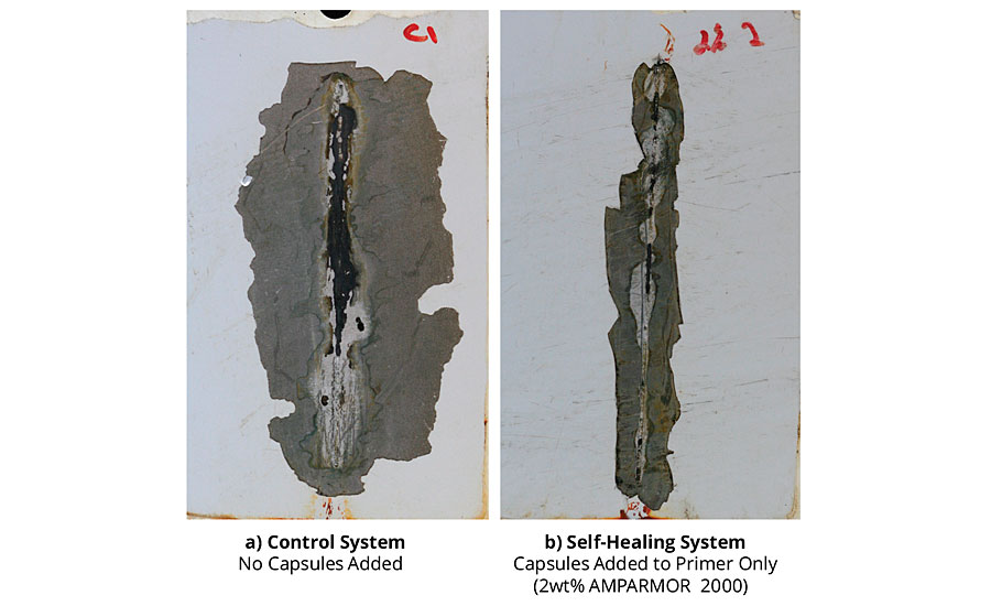 涂层标准CRS面板在盐雾暴露1000小时后的附着损失。