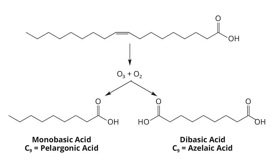 油酸在臭氧和氧气的不饱和状态下裂解，形成天龙石酸和壬二酸的混合物。