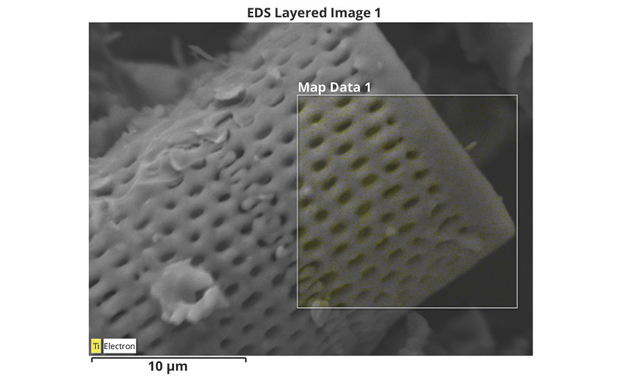 硅藻的扫描电子显微镜(SEM)与装饰生物硅藻的光催化剂粒子的能量色散x射线能谱