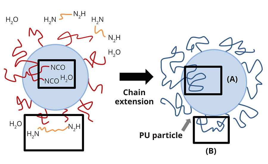 Jhon等(2001)提出的PUD粒子模型。在粒子表面(B)或粒子内部(A)存在不同的NCO位置，在这些位置上，扩链剂或水需要时间渗透并与NCO反应