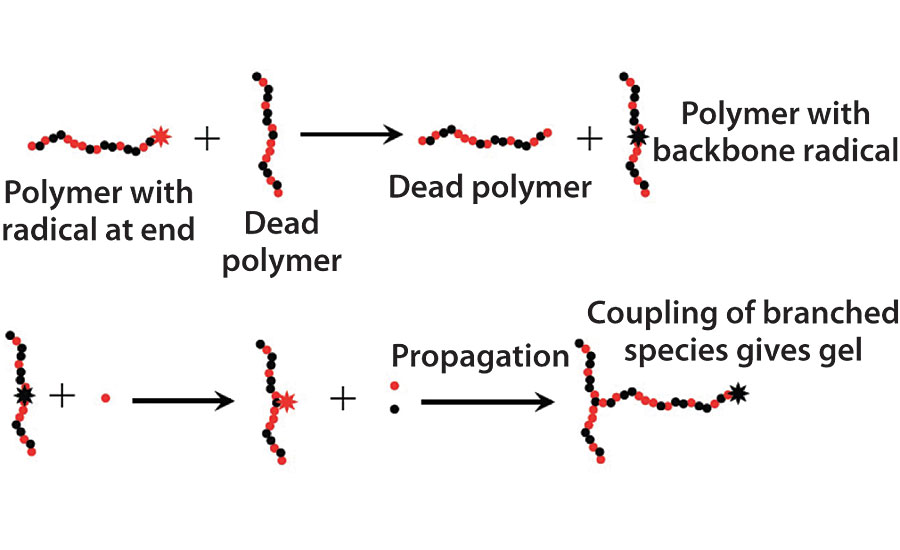 链转移至聚合物，导致分支和可能的凝胶形成。