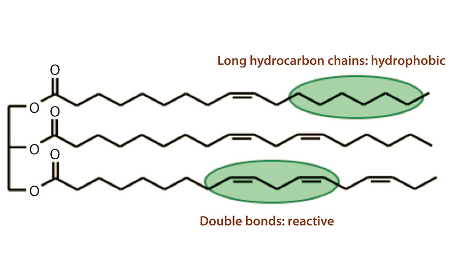 大豆油的长碳氢链和双键。