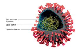 抗病毒表面涂层防止COVID-19通过接触传播