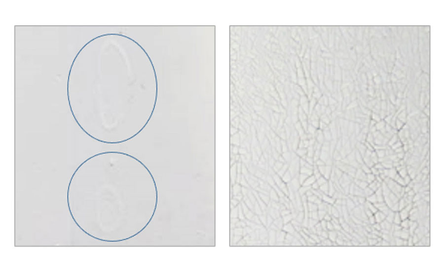 水性(右)和溶剂型(左)涂料的表面缺陷。