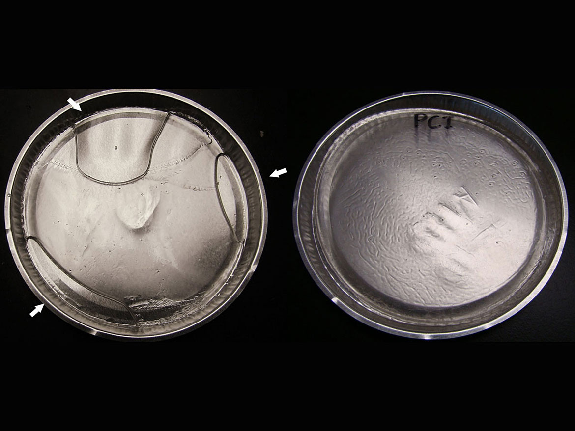 使用含(右)和不含(左)新型增效剂的二苯甲酮基引发剂的等辐照树脂配方制成的薄膜示例。