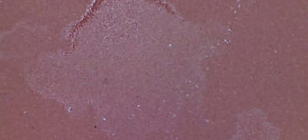 面板表面蜗牛痕迹的显微镜图像。